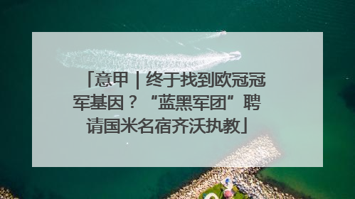 意甲|终于找到欧冠冠军基因?“蓝黑军团”聘请国米名宿齐沃执教