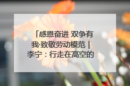 感恩奋进 双争有我·致敬劳动模范｜李宁：行走在高空的“电网卫士”