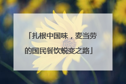 扎根中国味，麦当劳的国民餐饮蜕变之路