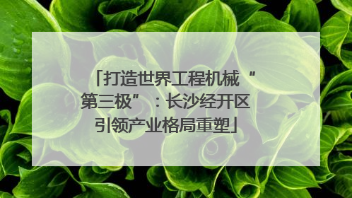 打造世界工程机械“第三极”：长沙经开区引领产业格局重塑