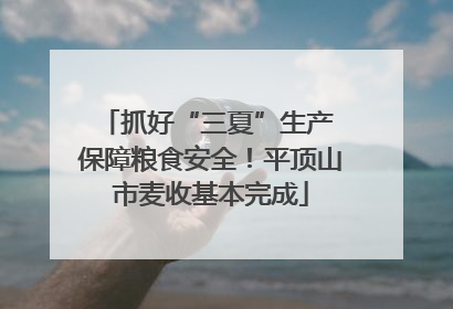 抓好“三夏”生产 保障粮食安全！平顶山市麦收基本完成