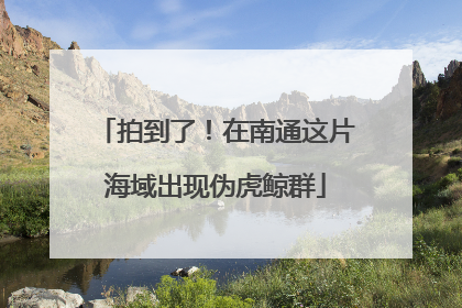 拍到了！在南通这片海域出现伪虎鲸群