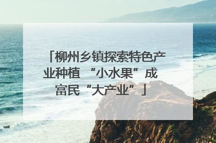 柳州乡镇探索特色产业种植 “小水果”成富民“大产业”
