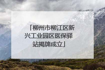 柳州市柳江区新兴工业园区医保驿站揭牌成立