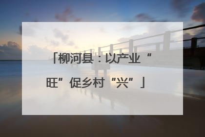 柳河县：以产业“旺”促乡村“兴”