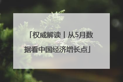 权威解读丨从5月数据看中国经济增长点