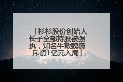 杉杉股份创始人长子全部持股被强执，知名牛散魏巍斥资1亿元入局