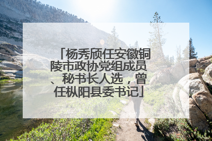 杨秀颀任安徽铜陵市政协党组成员、秘书长人选，曾任枞阳县委书记