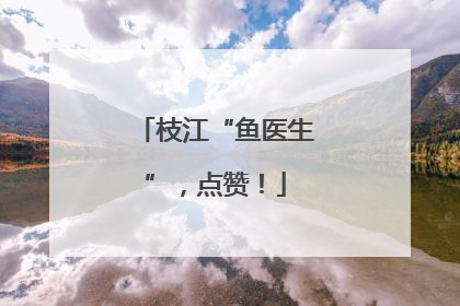 枝江“鱼医生”，点赞！