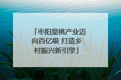 枣阳皇桃产业迈向百亿级 打造乡村振兴新引擎