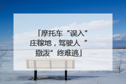 摩托车“误入”庄稼地，驾驶人“撒泼”终难逃