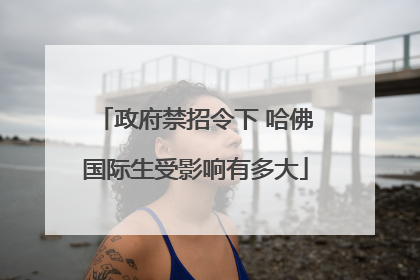 政府禁招令下 哈佛国际生受影响有多大