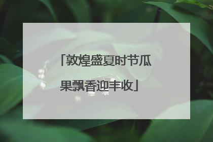 敦煌盛夏时节瓜果飘香迎丰收