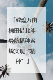 敦煌万亩棉田借北斗导航播种系统实现“精种”