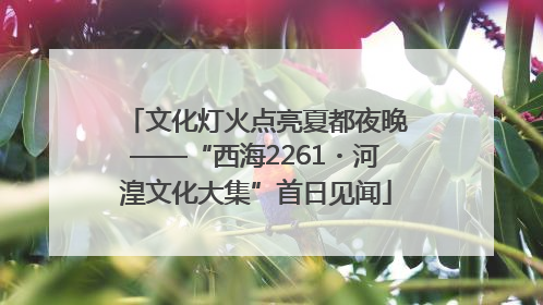 文化灯火点亮夏都夜晚——“西海2261・河湟文化大集”首日见闻