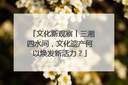 文化新观察丨三湘四水间，文化遗产何以焕发新活力？