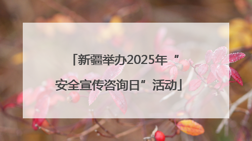 新疆举办2025年“安全宣传咨询日”活动