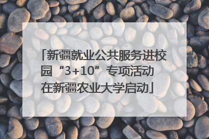新疆就业公共服务进校园“3+10”专项活动在新疆农业大学启动