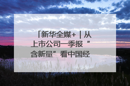新华全媒+｜从上市公司一季报“含新量”看中国经济发展向“新”