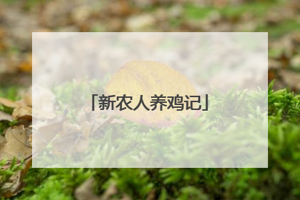 新农人养鸡记