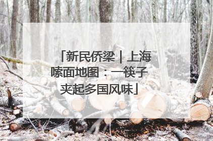 新民侨梁｜上海嗦面地图：一筷子夹起多国风味
