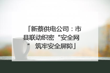新蔡供电公司：市县联动织密“安全网” 筑牢安全屏障