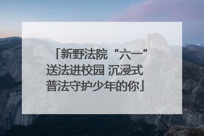 新野法院“六一”送法进校园 沉浸式普法守护少年的你