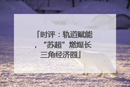 时评：轨道赋能，“苏超”燃爆长三角经济圈