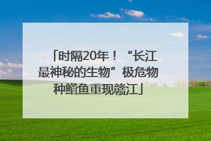 时隔20年！“长江最神秘的生物”极危物种鳤鱼重现赣江