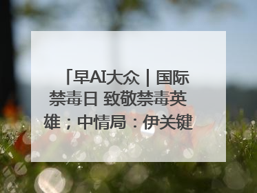 早AI大众｜国际禁毒日 致敬禁毒英雄；中情局：伊关键核设施被摧毁