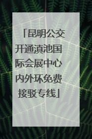 昆明公交开通滇池国际会展中心内外环免费接驳专线