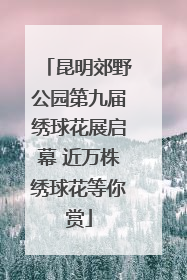 昆明郊野公园第九届绣球花展启幕 近万株绣球花等你赏