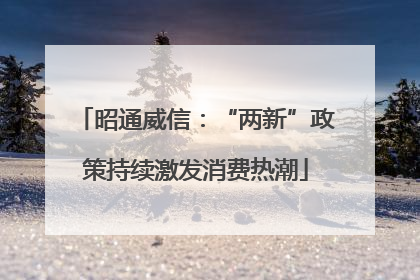 昭通威信：“两新”政策持续激发消费热潮