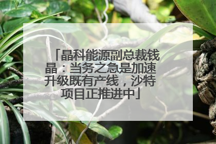 晶科能源副总裁钱晶：当务之急是加速升级既有产线，沙特项目正推进中