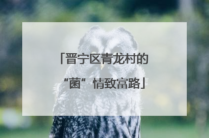 晋宁区青龙村的“菌”情致富路