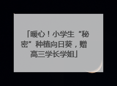 暖心！小学生“秘密”种植向日葵，赠高三学长学姐