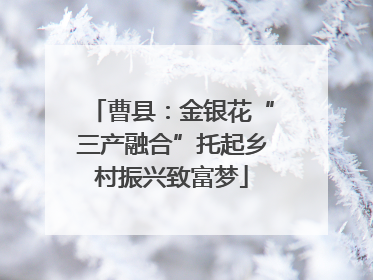 曹县:金银花“三产融合”托起乡村振兴致富梦