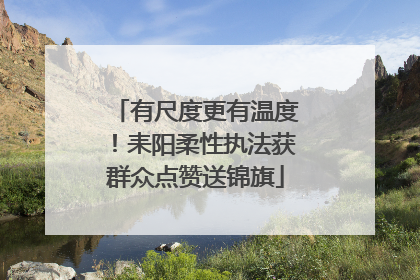 有尺度更有温度！耒阳柔性执法获群众点赞送锦旗