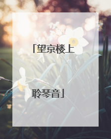 望京楼上聆琴音