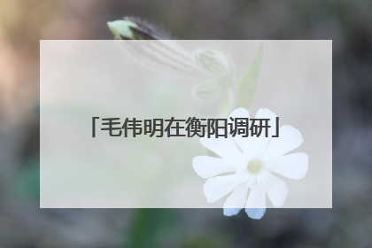 毛伟明在衡阳调研