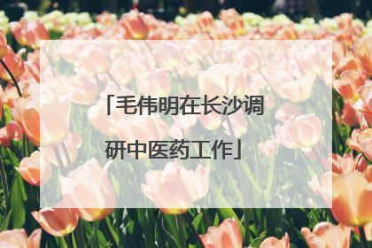 毛伟明在长沙调研中医药工作