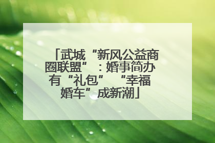 武城“新风公益商圈联盟”：婚事简办有“礼包” “幸福婚车”成新潮
