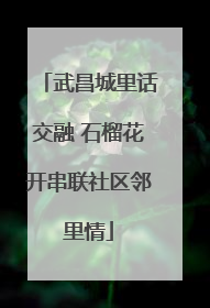 武昌城里话交融 石榴花开串联社区邻里情