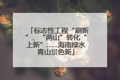 标志性工程“刷新”、“两山”转化“上新”……海南绿水青山景色新