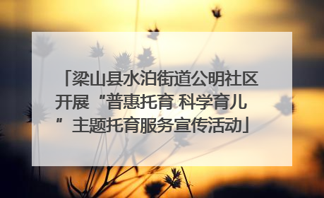 梁山县水泊街道公明社区开展“普惠托育 科学育儿”主题托育服务宣传活动