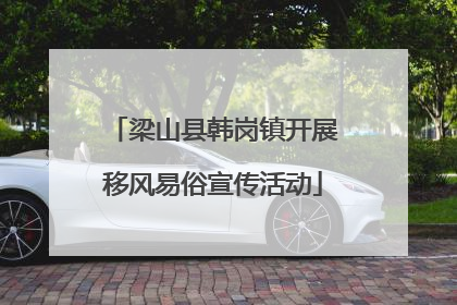 梁山县韩岗镇开展移风易俗宣传活动