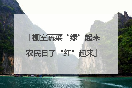 棚室蔬菜“绿”起来 农民日子“红”起来