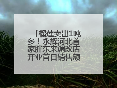 榴莲卖出1吨多！永辉河北首家胖东来调改店开业首日销售额同比增10倍