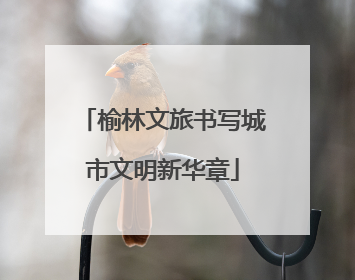 榆林文旅书写城市文明新华章