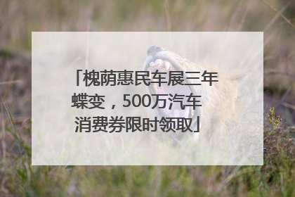 槐荫惠民车展三年蝶变，500万汽车消费券限时领取